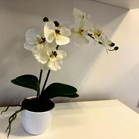 Ag Deluxe In Apartamento Kornwestheim